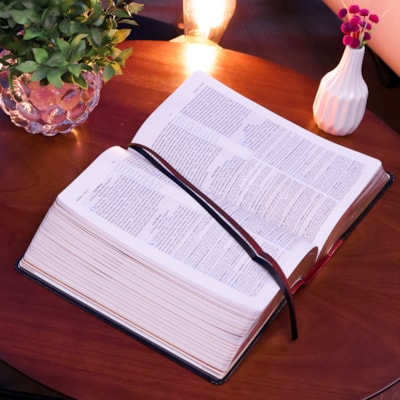 image_eb724a86-b9db-4955-9923-ffe0c0db7fdc