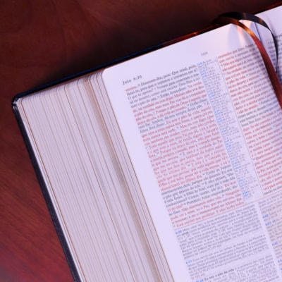 image_1037943e-8997-4a29-8b16-3e0ea41d1a77