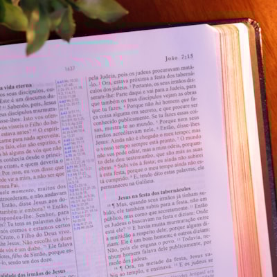 image_6007fb75-1c58-4e33-8de6-4effcba1c585