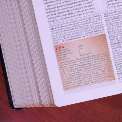 image_b6939146-899b-48c6-baa7-b484e610e192