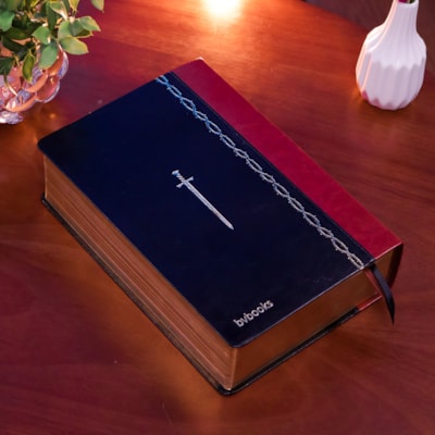 image_6622b292-9192-4217-a1a2-f7dc951029b2