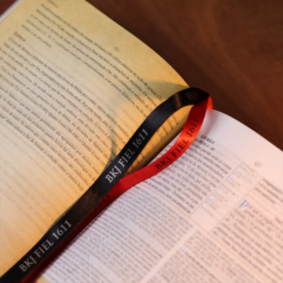 image_ff6b1a01-0e4a-414a-9152-b9c862cb07e5