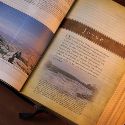 image_f6b87245-0e33-4117-afe8-8665844e92c2