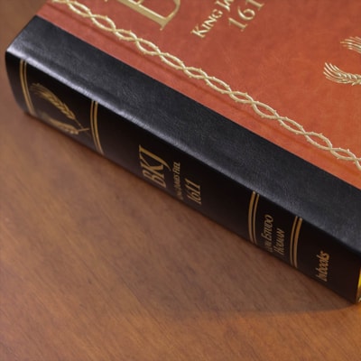 image_d6ca4ab1-fed4-4791-a995-661e3a25ff11