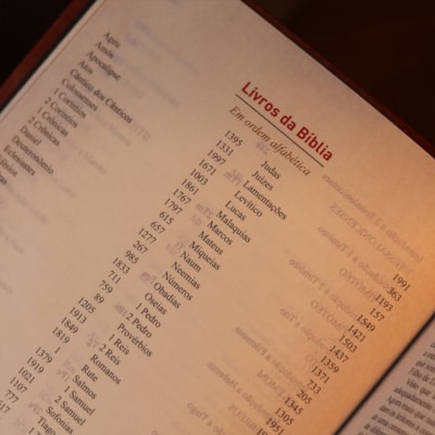 image_d976669a-471b-4c0a-b26d-7bf8bd1a8c6e