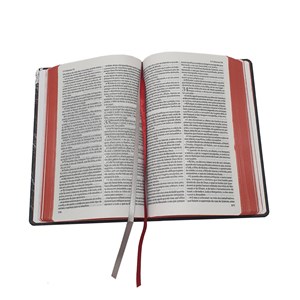 Bíblia King James 1611 | Fiel | Capa Dura Leão Rei