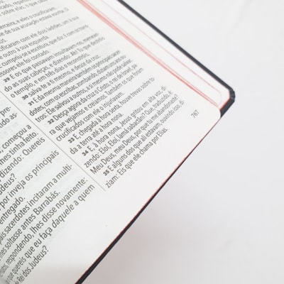 image_1c353a51-6c7a-470d-8608-78c2a7135df2