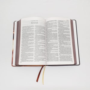 Segunda imagem do produto Bíblia King James 1611 | Fiel | Capa Dura O Caminho