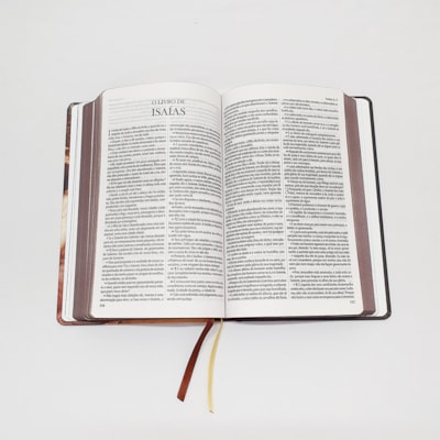 image_e3c001dc-befb-4c59-8e63-c8b64fbb7d15