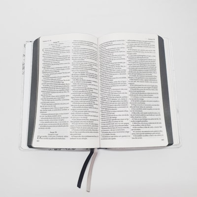 image_b80ce7c5-1dbd-49af-9554-27994214bdd6