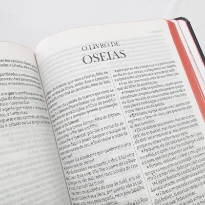 image_880eb9da-1a6d-40cd-a9ee-476bba91a81c