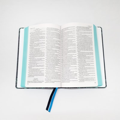 image_7470ed26-519d-4bc0-a6c6-91e8d085c300