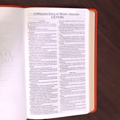 image_70816727-de6d-4fc6-aea7-dc1a4af96023