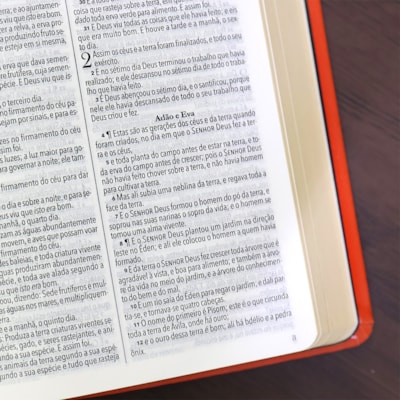 image_2338cc4c-4271-4fd2-835f-36244debdbce