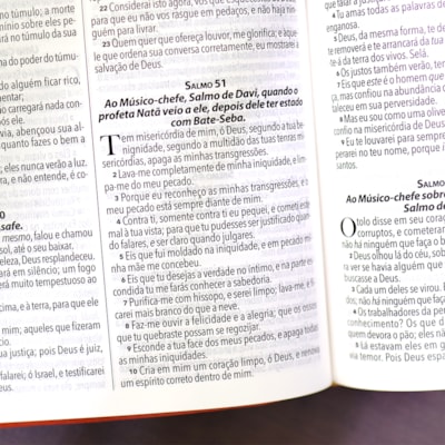 image_41d84aed-9b27-4410-8e06-64c56d5250fb