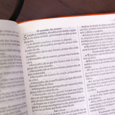 image_67b0a41a-1600-4aa5-ab66-32f499605062