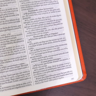 image_ef1da122-f2c9-446d-83ec-506fee812eea