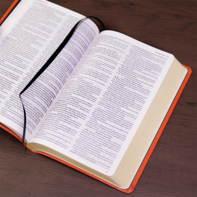 image_19efc8f8-c4b6-4e3c-bc97-ecc1af2e92a5