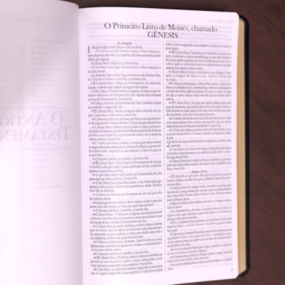 image_2d8cb0e5-26b7-4120-bc1a-3db072613ec5