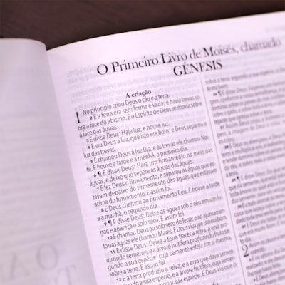 image_71aece72-0ae0-42b7-8889-d232a7962c07