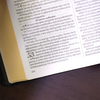 image_5b3a5e22-f412-407e-96bb-6f4133549c03