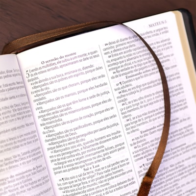 image_09815401-16ff-4ef8-805c-cb1d87f4c934