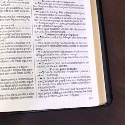 image_0b10e8a8-69dc-4146-832e-135b486dd643