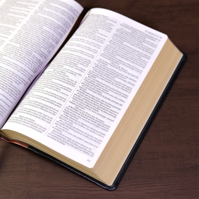 image_f9ea95a1-7a94-493b-8fa2-7e6b6a3df764