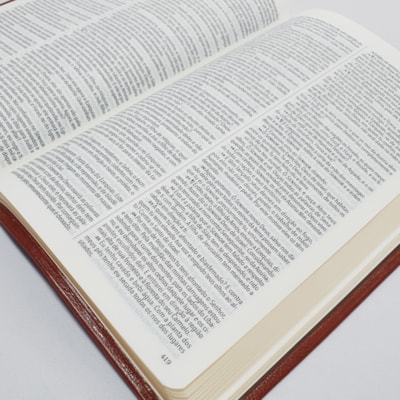 image_2e1d5d66-da3a-4fec-9746-c9aeb62fcce9