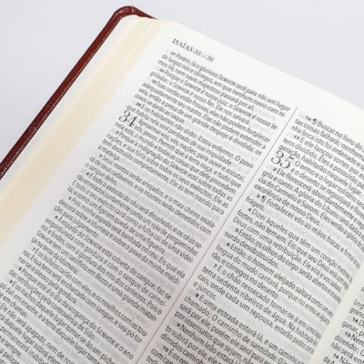 image_832f48f5-caa9-42fd-9962-05b13db86dce