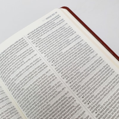 image_7d9e085e-8dfa-44ae-bfdc-0bdc9b62c1a2