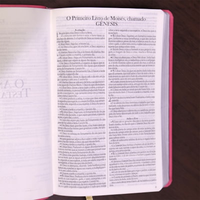 image_a973e064-d2af-46dc-af03-2b868bb233ac