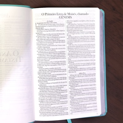 image_8eef3dec-c242-4916-be55-ecf103d4833c