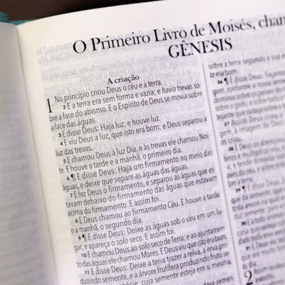 image_7ffef5a7-de9e-450b-b318-2c6ec30331dc