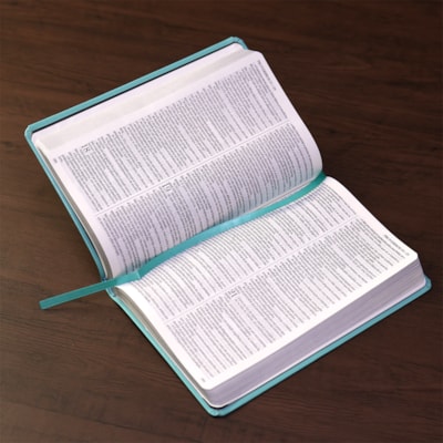 image_6e4ccab0-4bc6-47a4-88be-8befeec6588c