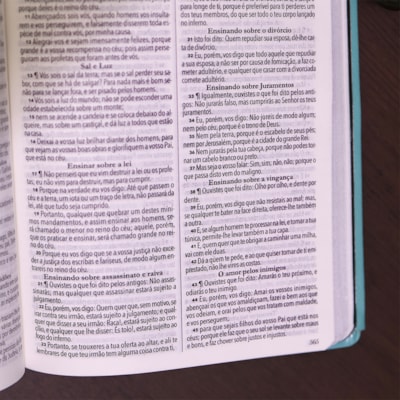 image_f035835e-410b-4213-a82e-ec416e7a4fda