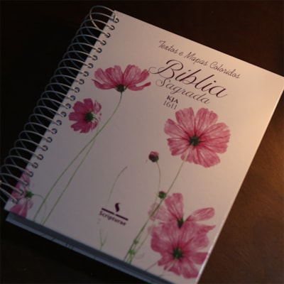 image_0333e80b-478c-4302-90f9-fb772b2ed6c0