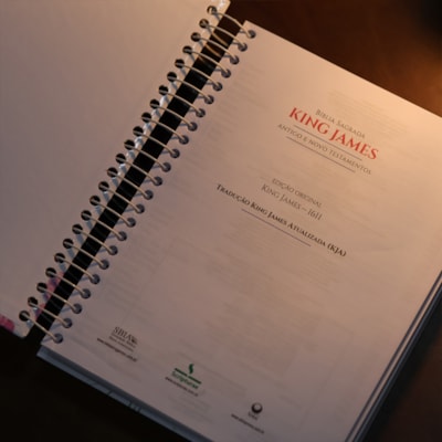 image_6e13309a-a4a3-40cf-bd31-11618c2d9d7e