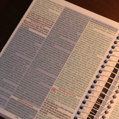 image_2e823db9-9786-4558-bf99-e4ce658fb2ba