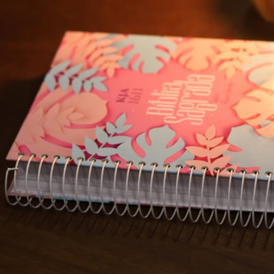 image_b223f62c-7afc-42ba-8831-90323d965ac6