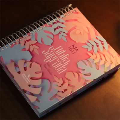 image_6c20f6ac-050c-4885-b62e-28175f98eb15