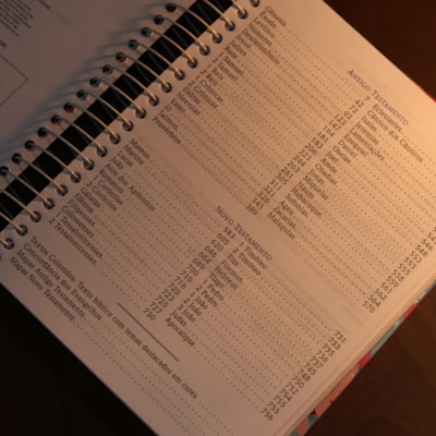 image_01d1d1ef-dd3d-48ca-9ba7-df4a204bad8d