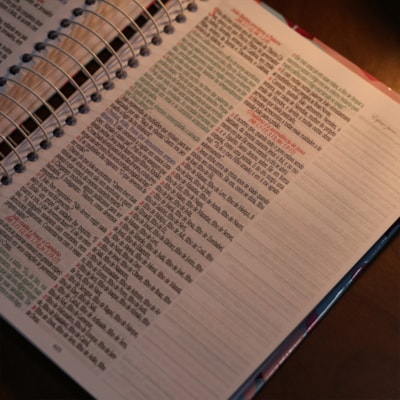 image_29859a7c-75dd-48fc-b320-fd38e81636a9