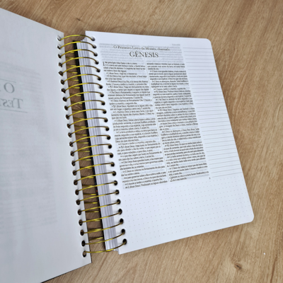 image_76cc07e1-899f-46a7-836b-bed9052edd12