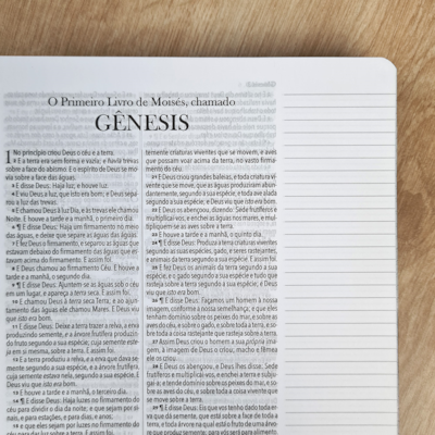 image_1db14a54-e45a-40e3-8411-e19a8f29d8c2