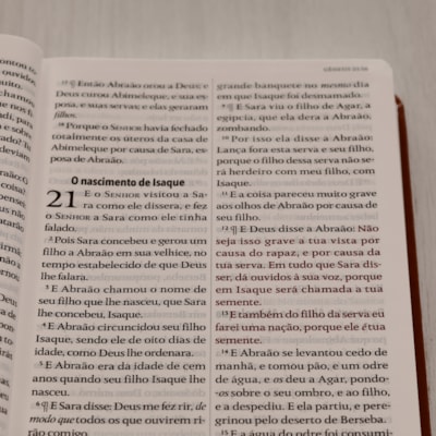 image_e05e709d-fd84-426a-9100-9a1e3e57086c