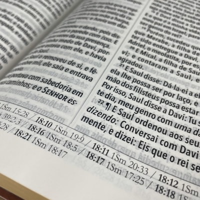 image_1bbb496b-9e9d-468c-9194-103cc2cb7886