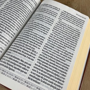 Bíblia King James 1611 | Letra Ultragigante | Capa Luxo Rose