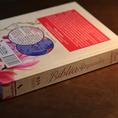 image_3b3eb3a5-8e36-4b35-a791-7d63122b3386