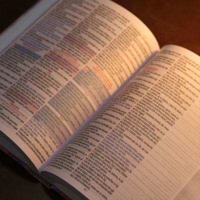 image_dac4fe2b-3123-49c6-ab7f-fef1897f9e4f